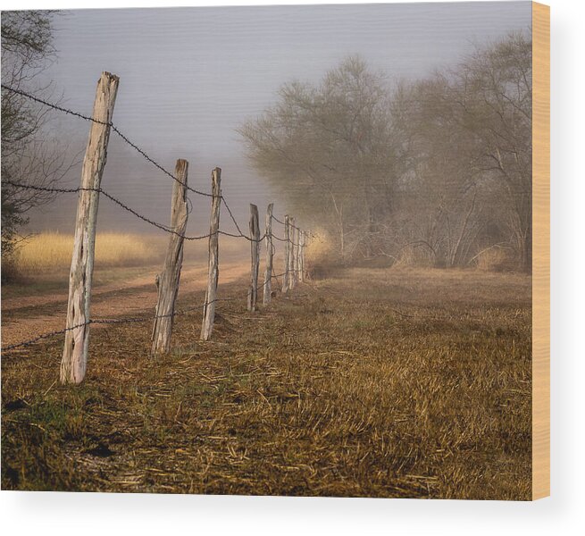 Natural Wood Print featuring the photograph Fenced In by Gary Migues