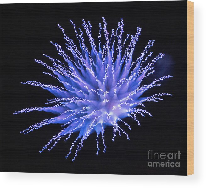 Array Wood Print featuring the photograph Fireworks in Ultra Blue by Martin Konopacki