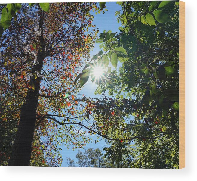 Fall Wood Print featuring the photograph First Color of Fall by Katy Hawk