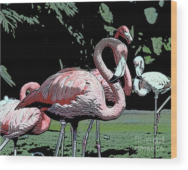Pink Wood Print featuring the photograph Flamingos I by Jim And Emily Bush
