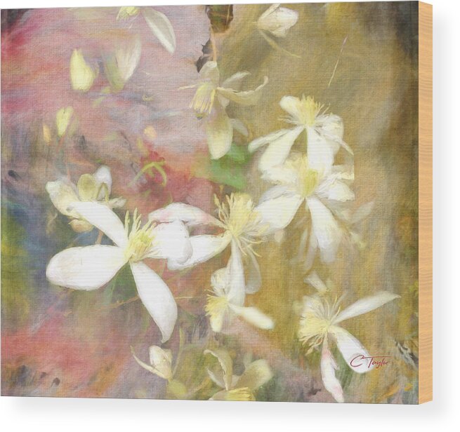 Flowers Wood Print featuring the digital art Floating Petals by Colleen Taylor