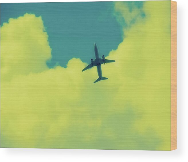 Polaroid Wood Print featuring the photograph Fly Away Polaroid Transfer by Tony Grider