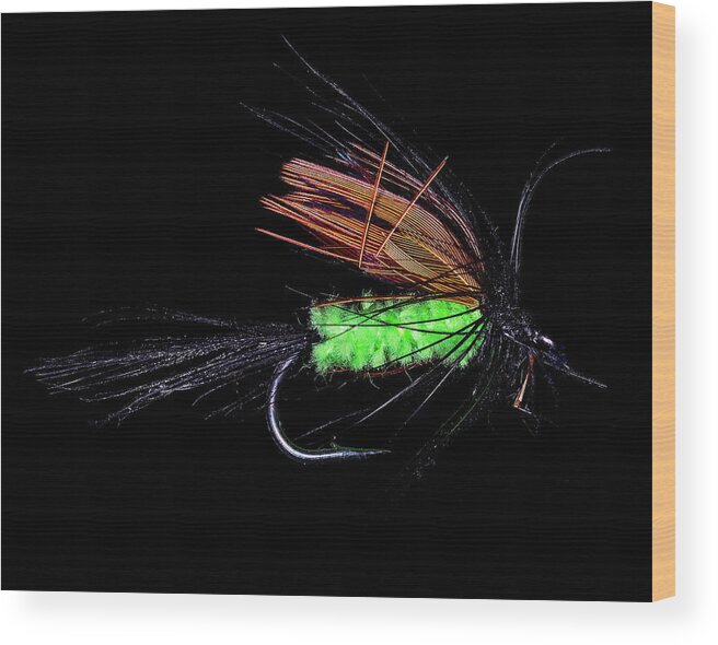 Canon 5d Mark Iv Wood Print featuring the photograph Fly-Fishing 1 by James Sage