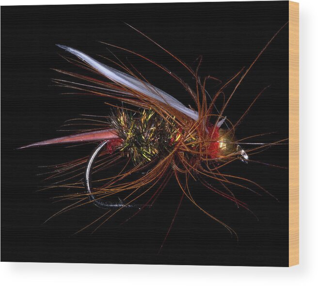 Canon 5d Mark Iv Wood Print featuring the photograph Fly-Fishing 4 by James Sage