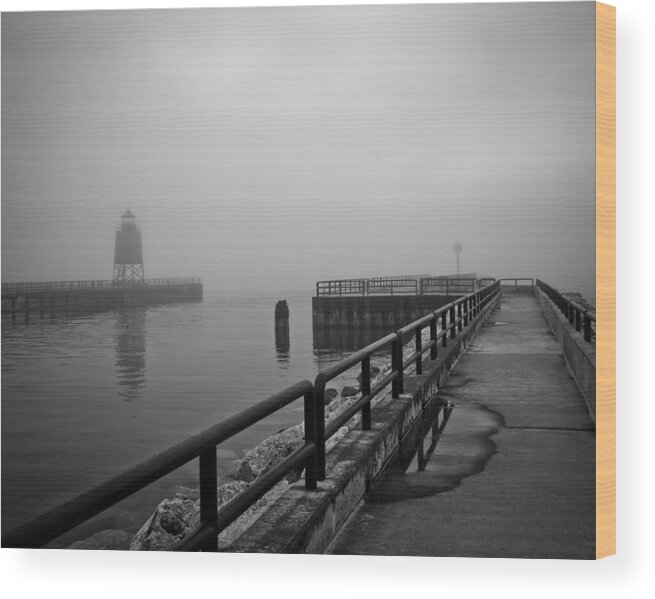 Charlevoix Michigan Wood Print featuring the photograph Foggy Charlevoix by Just Birmingham