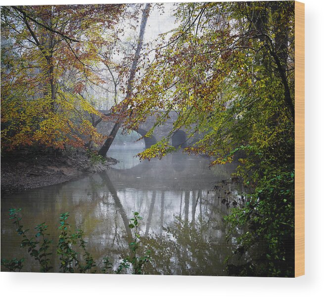  Wood Print featuring the photograph Foggy Jemison Park by Just Birmingham
