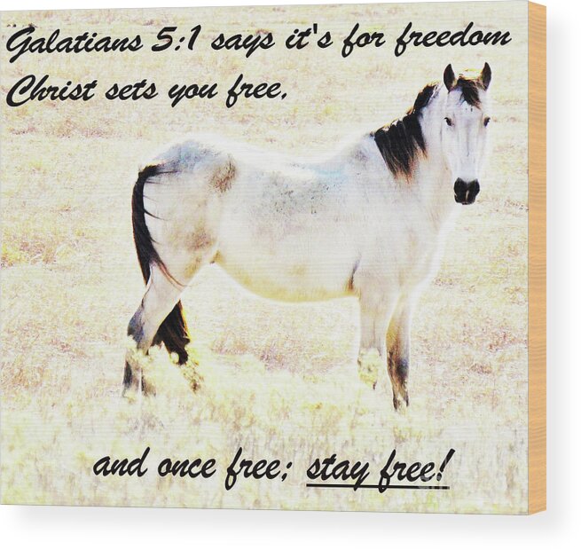 Horse Wood Print featuring the photograph Freedom by Merle Grenz