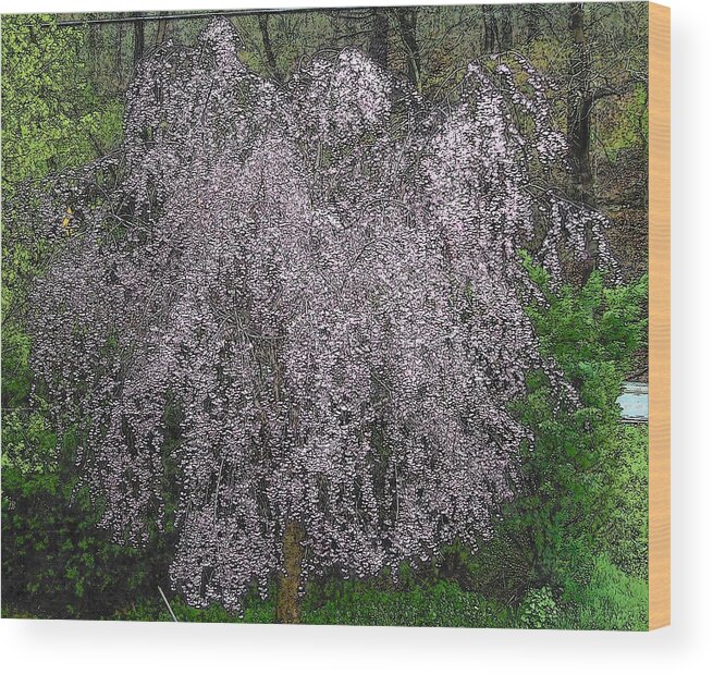 Nature Prints Wood Print featuring the photograph From My Window by D Perry