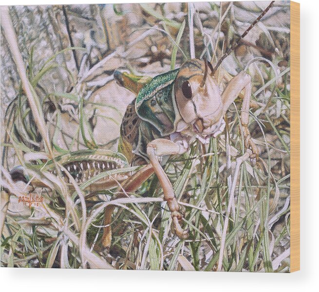 Grasshopper Wood Print featuring the painting Giant Grasshopper by Joshua Martin