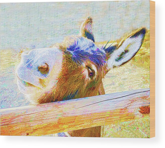 Donkey Wood Print featuring the photograph Go Jack by Jennifer Grossnickle