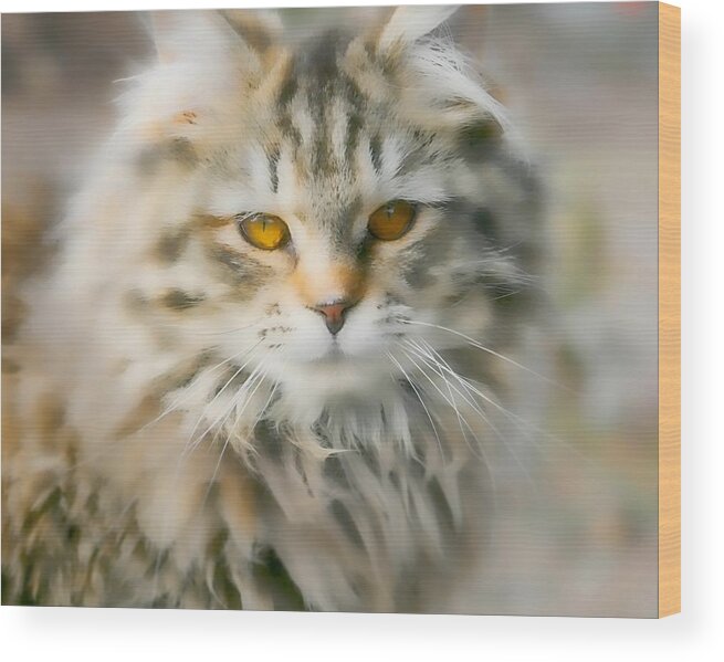 Cat Wood Print featuring the photograph Goldie Golden Eyes by Cathy Harper