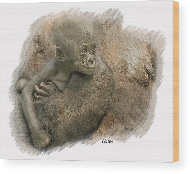 Gorilla Wood Print featuring the digital art Mother's Milk by Larry Linton