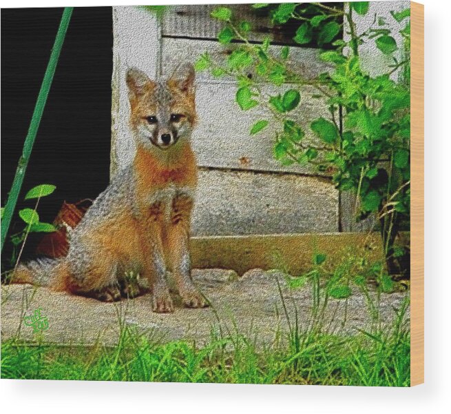 Fox Wood Print featuring the painting Gray Fox Kit by Cliff Wilson