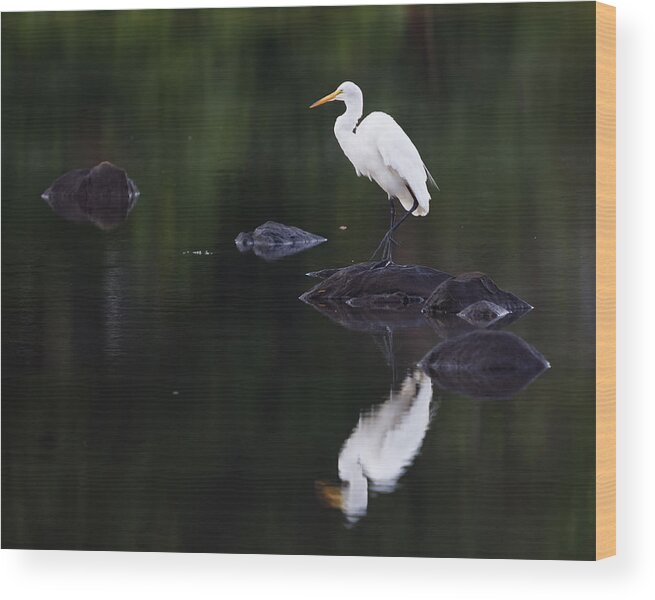 Egret Wood Print featuring the photograph Great Egret Reflection by Kirkodd Photography Of New England