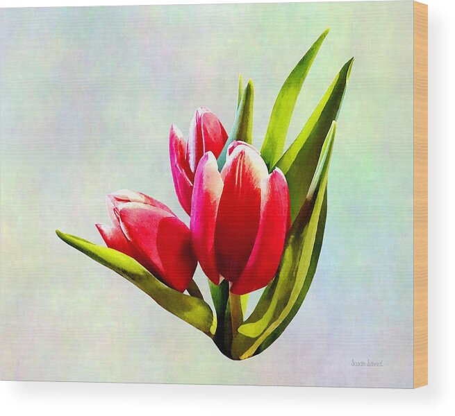 Tulip Wood Print featuring the photograph Group of Red Tulips by Susan Savad