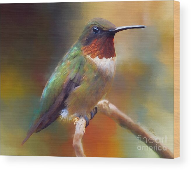 Hummingbird Wood Print featuring the painting Handsome Hummingbird by Tina LeCour