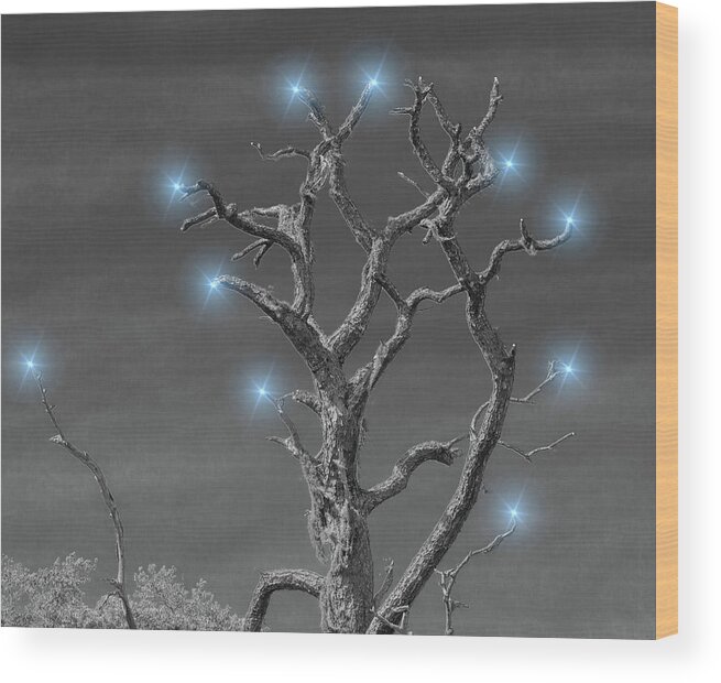 Tree Trunk Wood Print featuring the photograph Happy Holidays by Richard Goldman