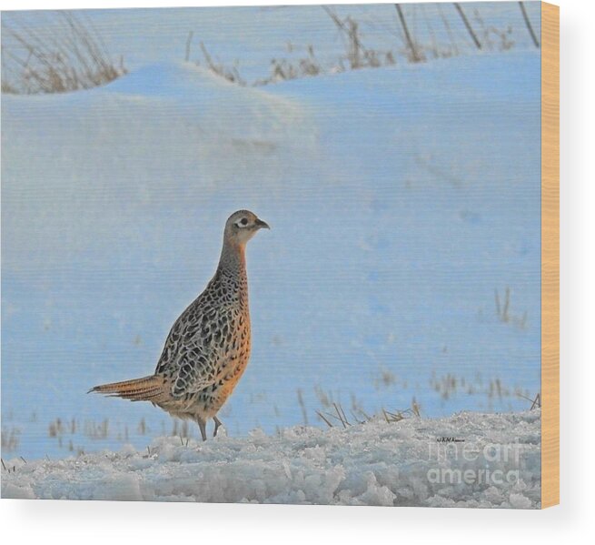Hen Pheasant Wood Print featuring the photograph Hen Pheasant by Kathy M Krause