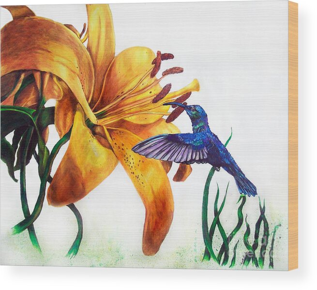 Hummingbird Wood Print featuring the drawing Hummingbird and Yellow Flower by Scott Parker