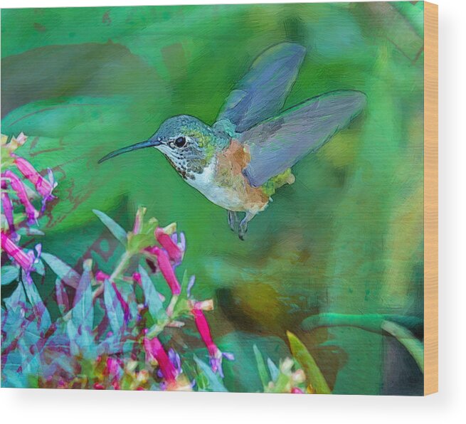 Hummingbird Wood Print featuring the photograph Hummingbird by Sandra Schiffner