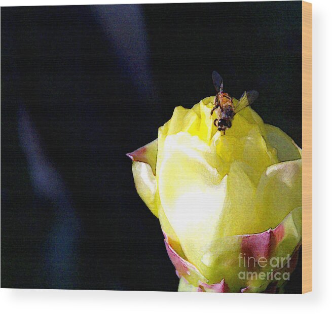 Cactus Wood Print featuring the photograph I Feel You Always Near by Linda Shafer