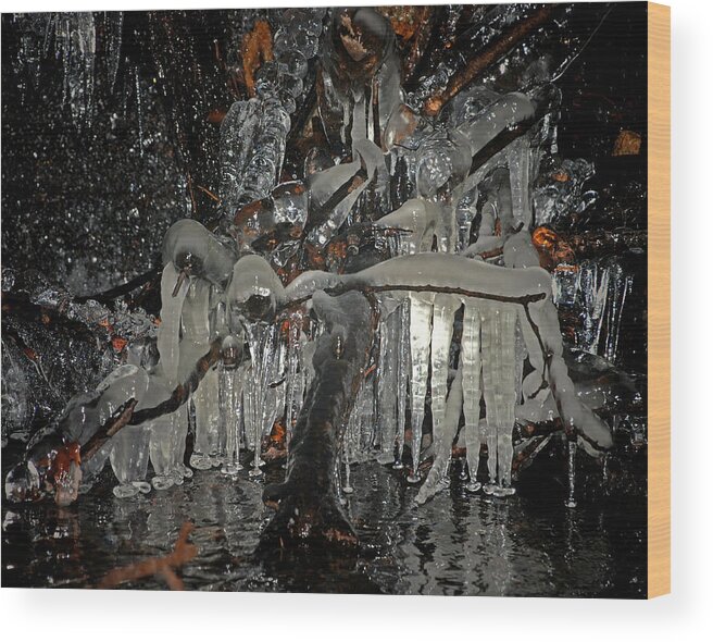 Palace Wood Print featuring the photograph Ice Palace by Mark Wiley