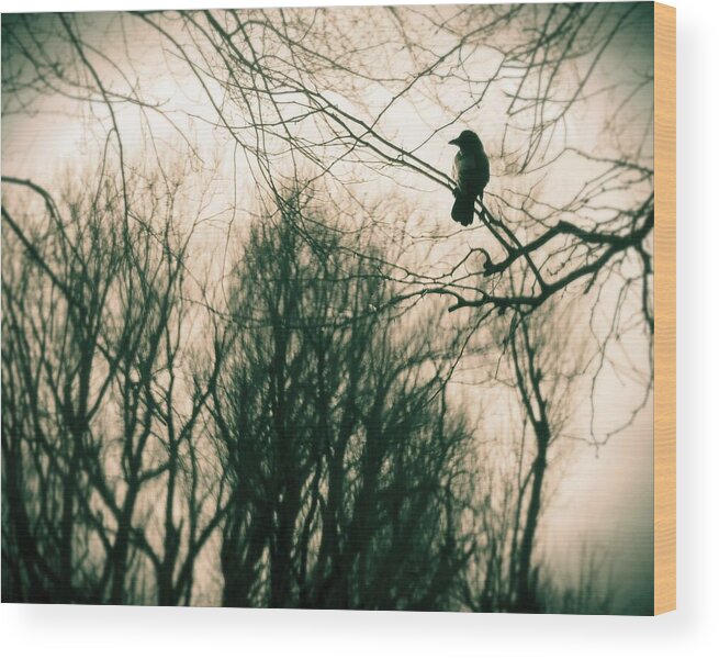 Retro Colors Wood Print featuring the photograph In The day by Gothicrow Images