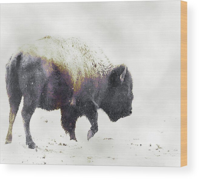 Bison Wood Print featuring the photograph Into the Storm by Ron McGinnis