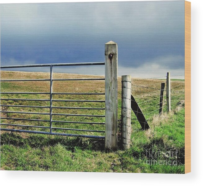 Irish Wood Print featuring the photograph Irish Field by Patricia Strand