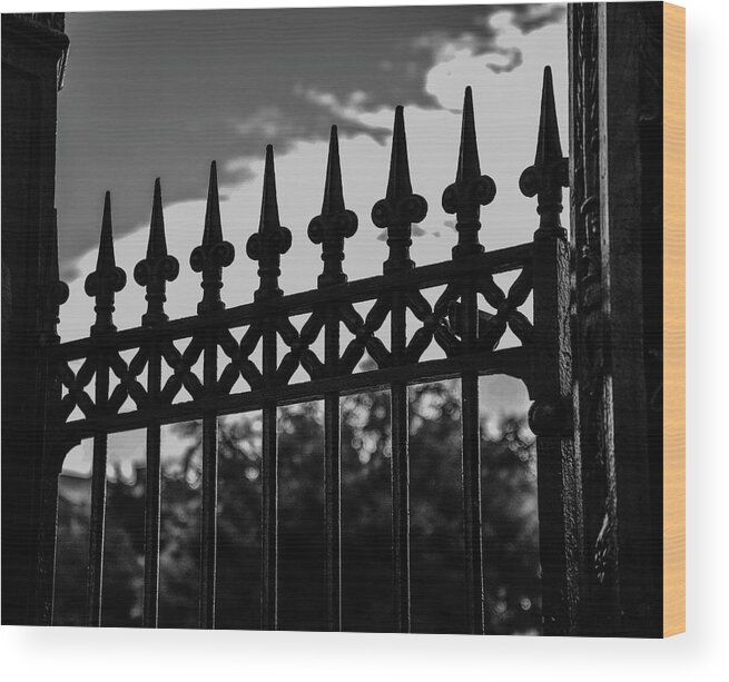 New Orleans Wood Print featuring the photograph Iron Gate by Jeff Watts