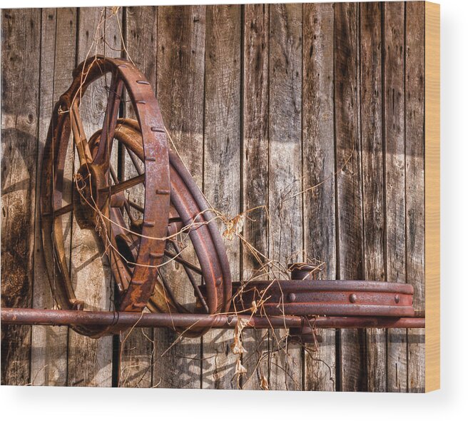 Still Life Wood Print featuring the photograph Iron by Ron McGinnis