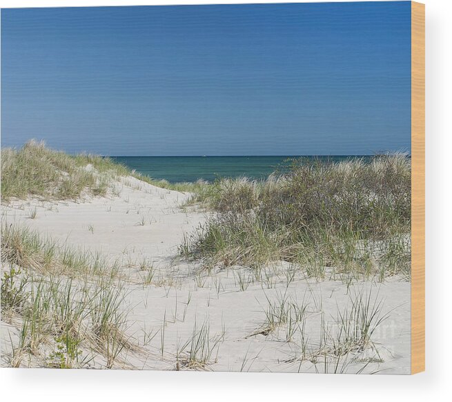 Its A Cape Cod Kind Of Day Wood Print featuring the photograph It's a Cape Cod Kind of Day by Michelle Constantine
