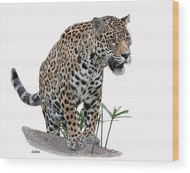 Jaguar Wood Print featuring the digital art Jaguar 10 by Larry Linton