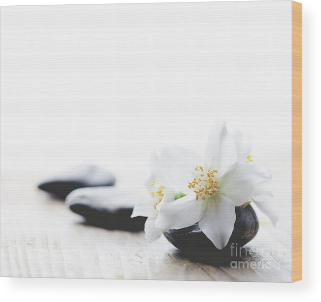 Jasmine Wood Print featuring the photograph Jasmine flower on spa stones by Jelena Jovanovic