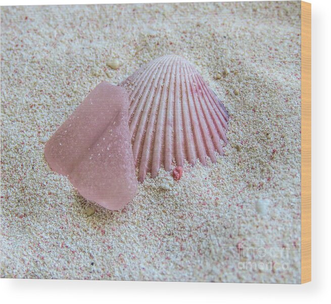 Pink Sea Glass Wood Print featuring the photograph Just Pink by Janice Drew