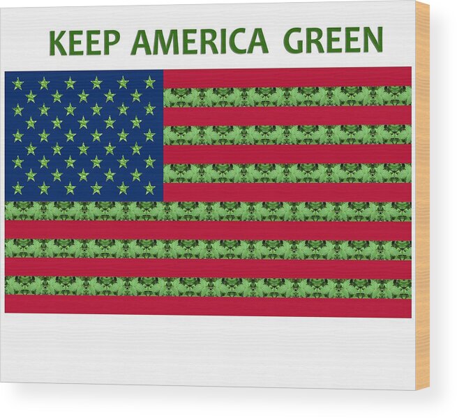 Save The Earth Wood Print featuring the digital art Keep America Green USA Flag by Julia L Wright