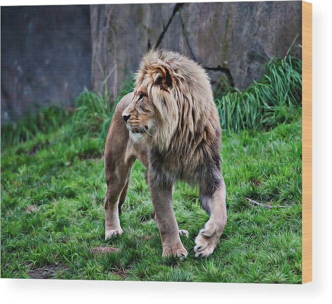 Animal Wood Print featuring the photograph King in Profile by John Christopher