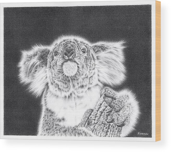 Koala Wood Print featuring the drawing King Koala by Casey 'Remrov' Vormer