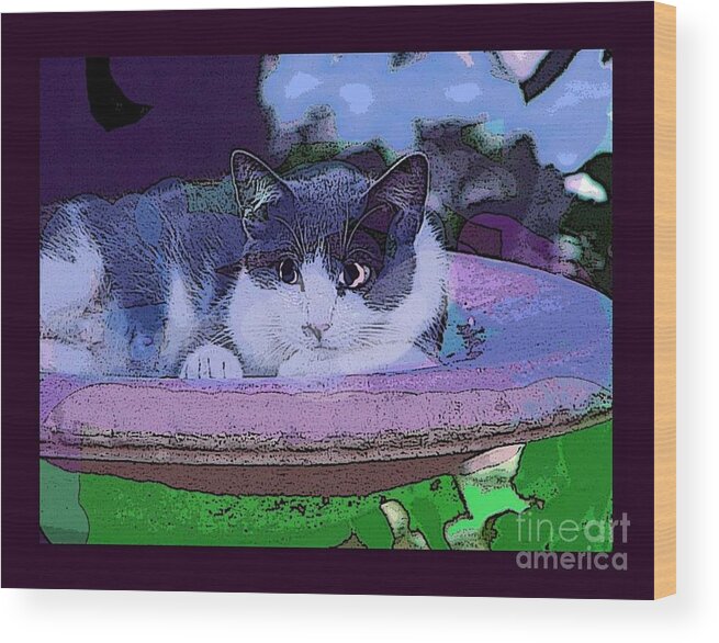 Cat Wood Print featuring the photograph Kitty Blue by David Carter