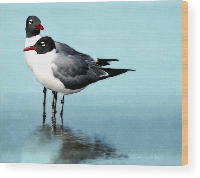 Laughing Gulls Wood Print featuring the photograph Laughing Gulls Tranquil Moment by Barbara Chichester