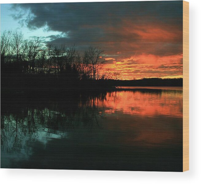 Landscape Wood Print featuring the photograph Life by Mitch Cat