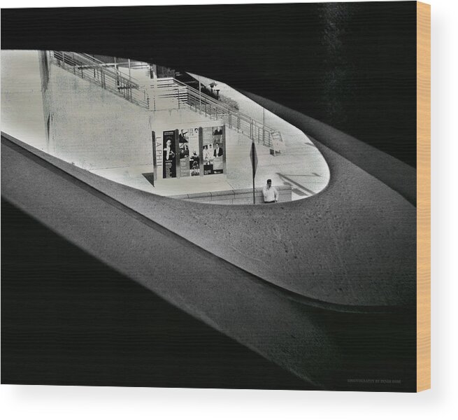 120mm Wood Print featuring the photograph Life Outside the Window by Denise Dube
