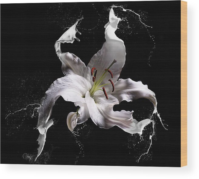 Lily Wood Print featuring the photograph Lily Splash by Lori Hutchison
