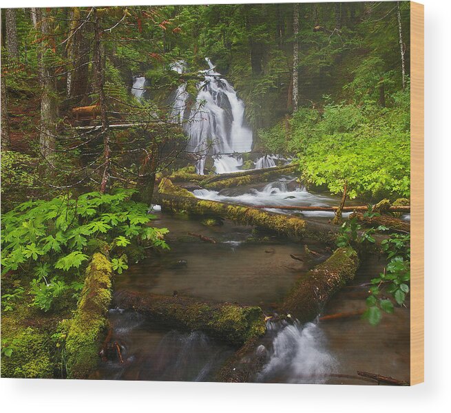 Waterfalls Wood Print featuring the photograph Little Zigzag Falls by Ulrich Burkhalter