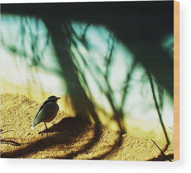 Mountain Chickadee Wood Print featuring the photograph Lonely Little Bird by Shawna Rowe