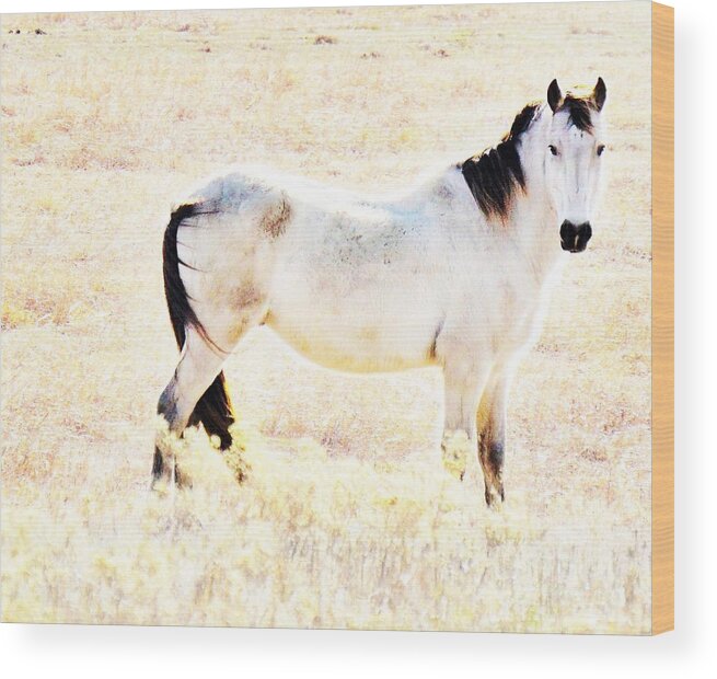 Horse Wood Print featuring the photograph Looking Good by Merle Grenz