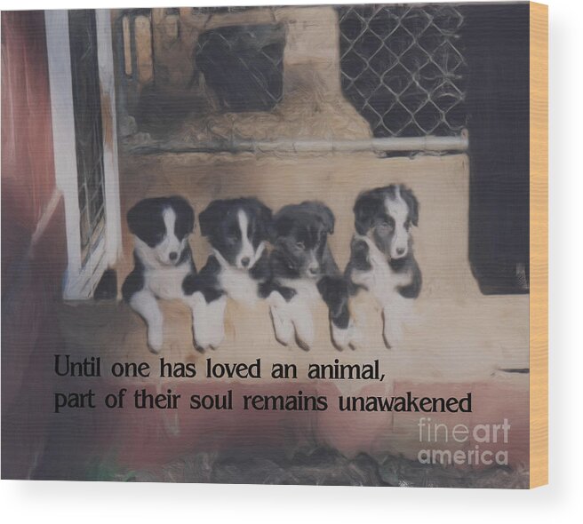 Quote Wood Print featuring the painting Love For Animals Inspirational Quote by Smilin Eyes Treasures
