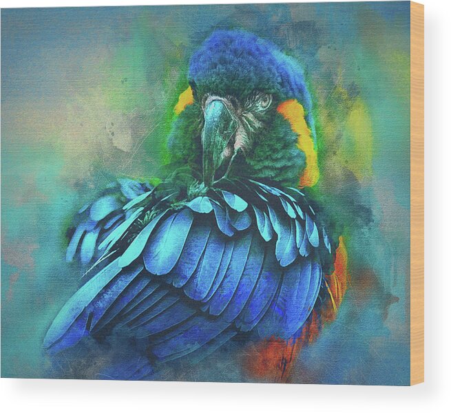 Macaw Wood Print featuring the photograph Macaw Magic by Brian Tarr