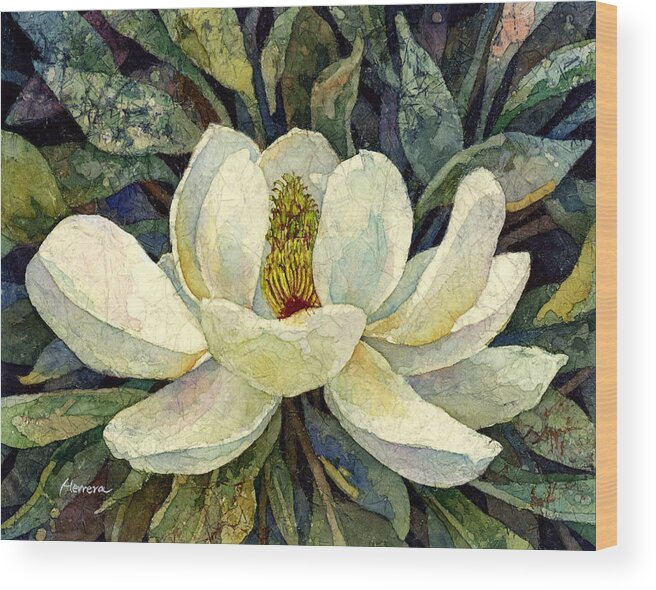 Magnolia Wood Print featuring the painting Magnolia Grandiflora by Hailey E Herrera