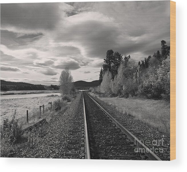 Landscape Wood Print featuring the photograph Many Paths - One Route by Royce Howland